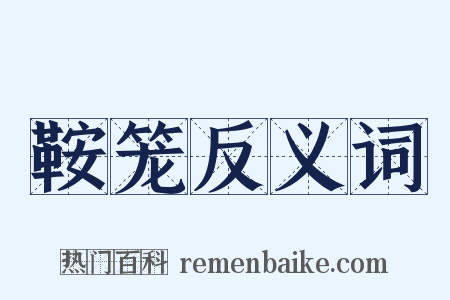 鞍笼反义词是什么意思的图片